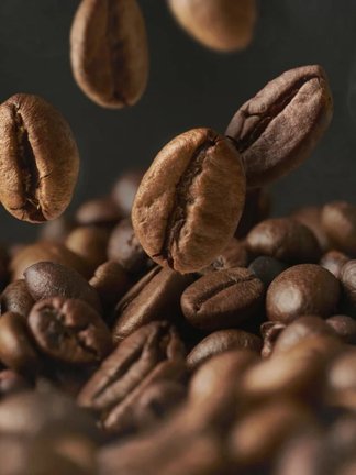 Robusta Coffee Beans