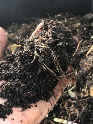 Organic Compost