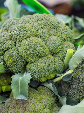 Brocolli