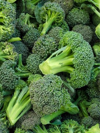 Brocolli