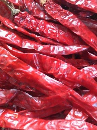 Red chilli